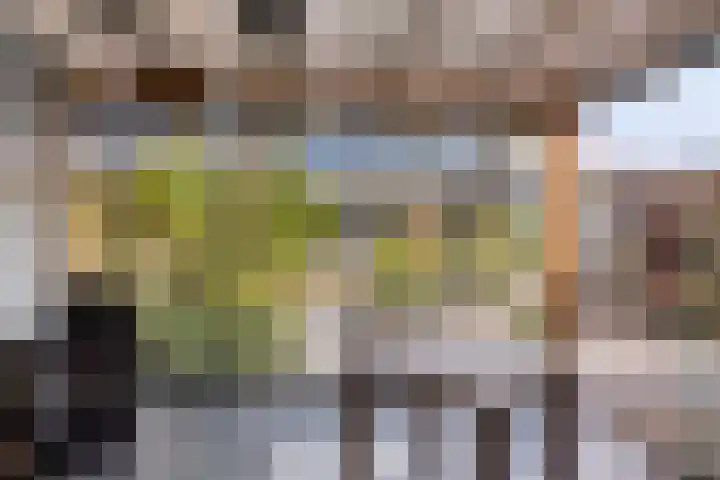 Staringstraat 1 Goor thumbnail 55