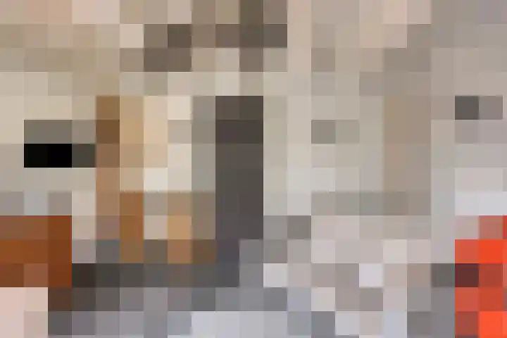 Staringstraat 1 Goor thumbnail 56