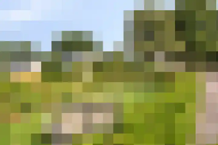 Staringstraat 1 Goor thumbnail 58