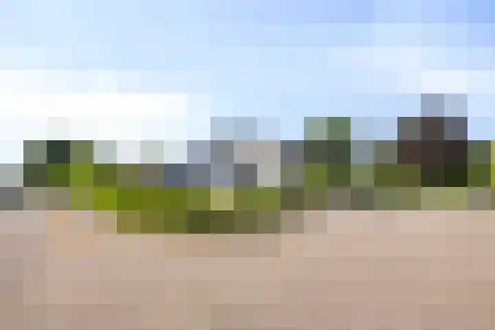 Staringstraat 1 Goor thumbnail 60