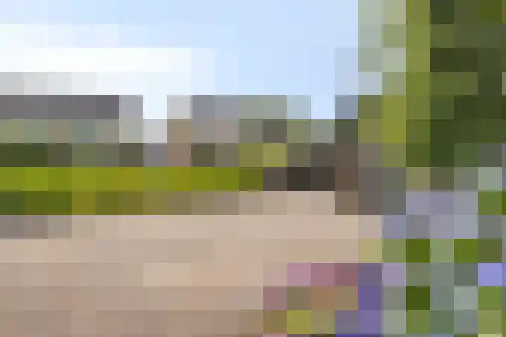 Staringstraat 1 Goor thumbnail 62