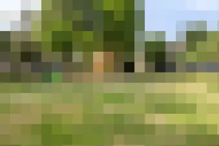 Staringstraat 1 Goor thumbnail 63