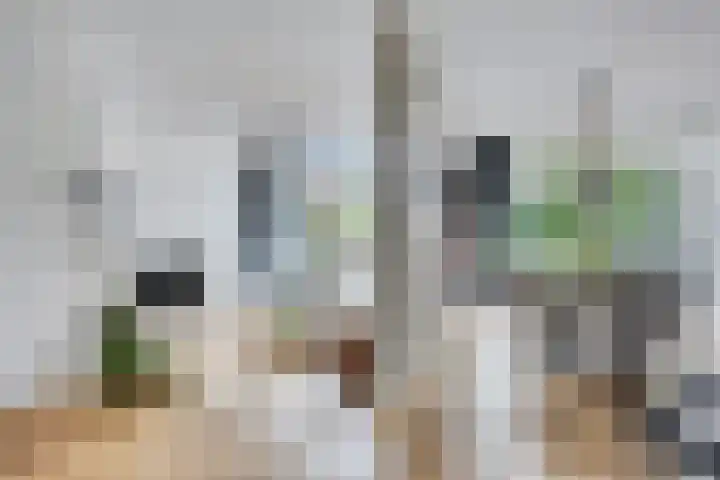 Staringstraat 1 Goor thumbnail 9