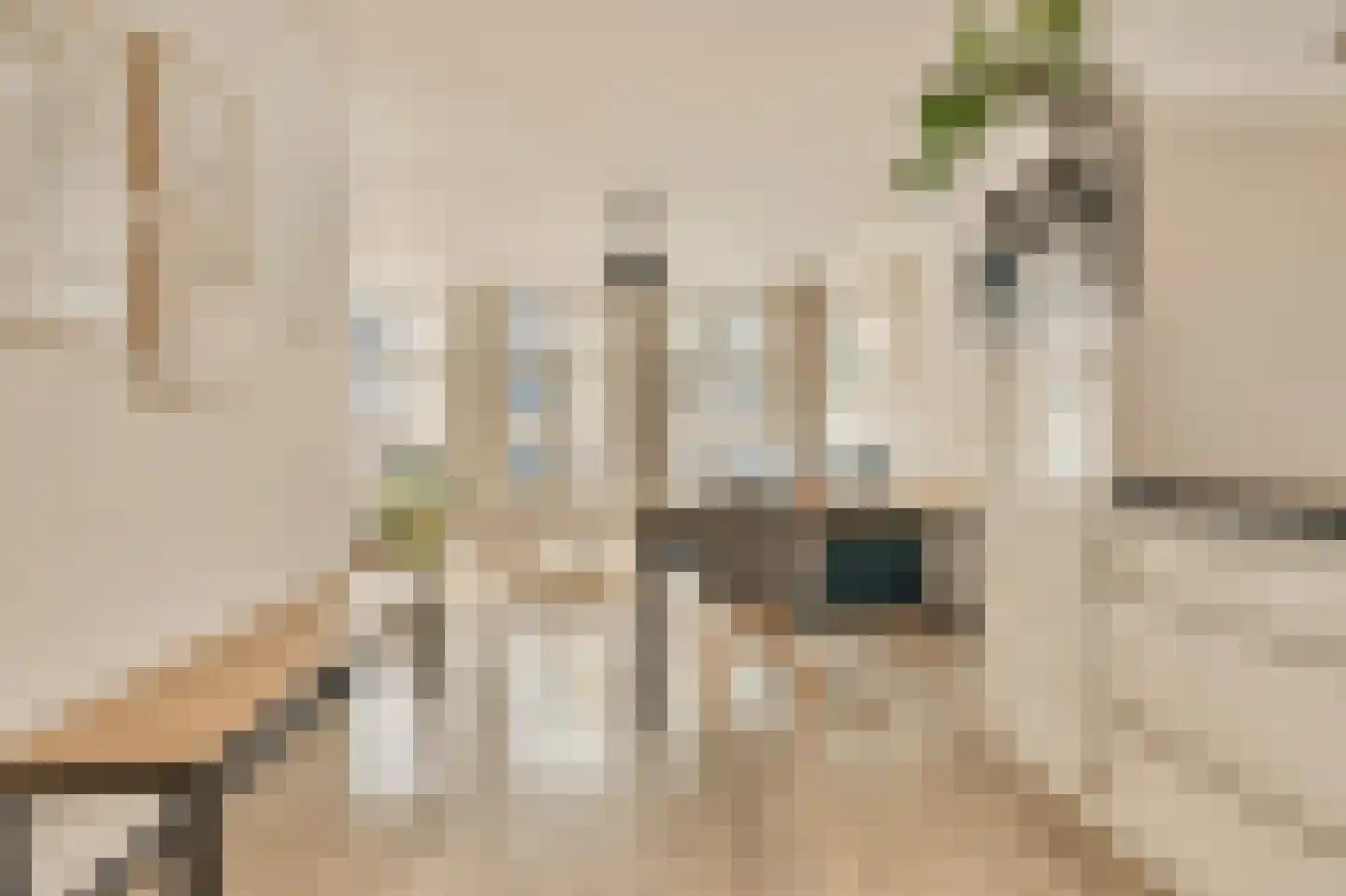 Staringstraat 10 2 Amsterdam thumbnail 12