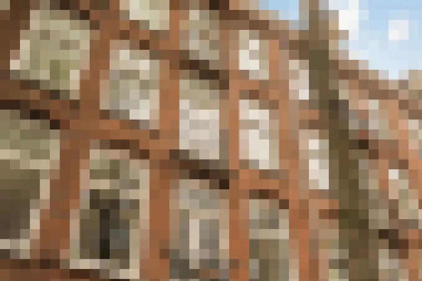 Staringstraat 10 2 Amsterdam thumbnail 28