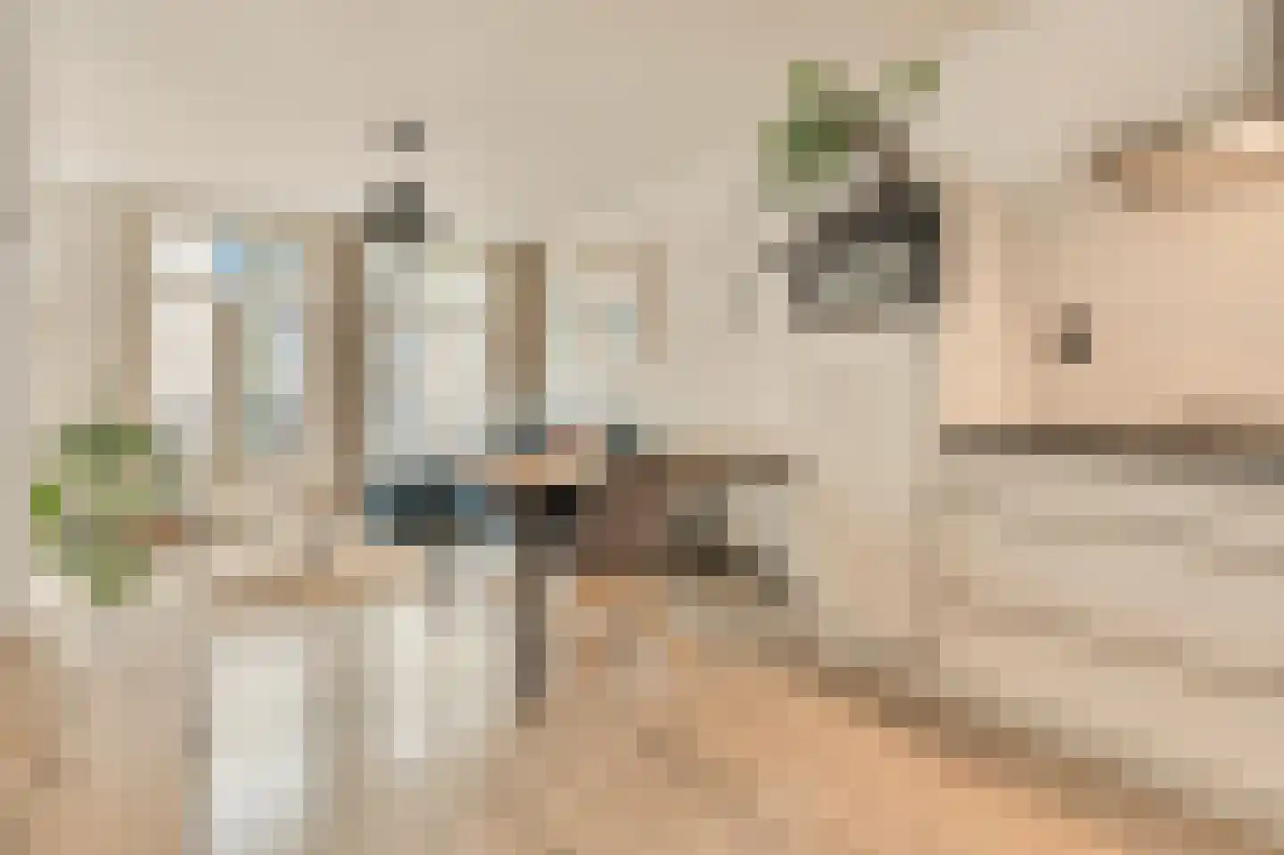 Staringstraat 10 2 Amsterdam thumbnail 4