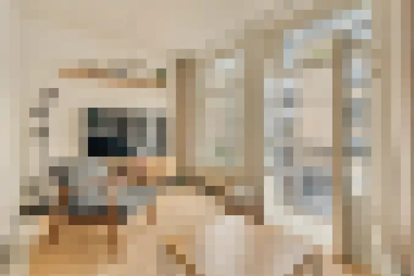Staringstraat 10 2 Amsterdam thumbnail 8