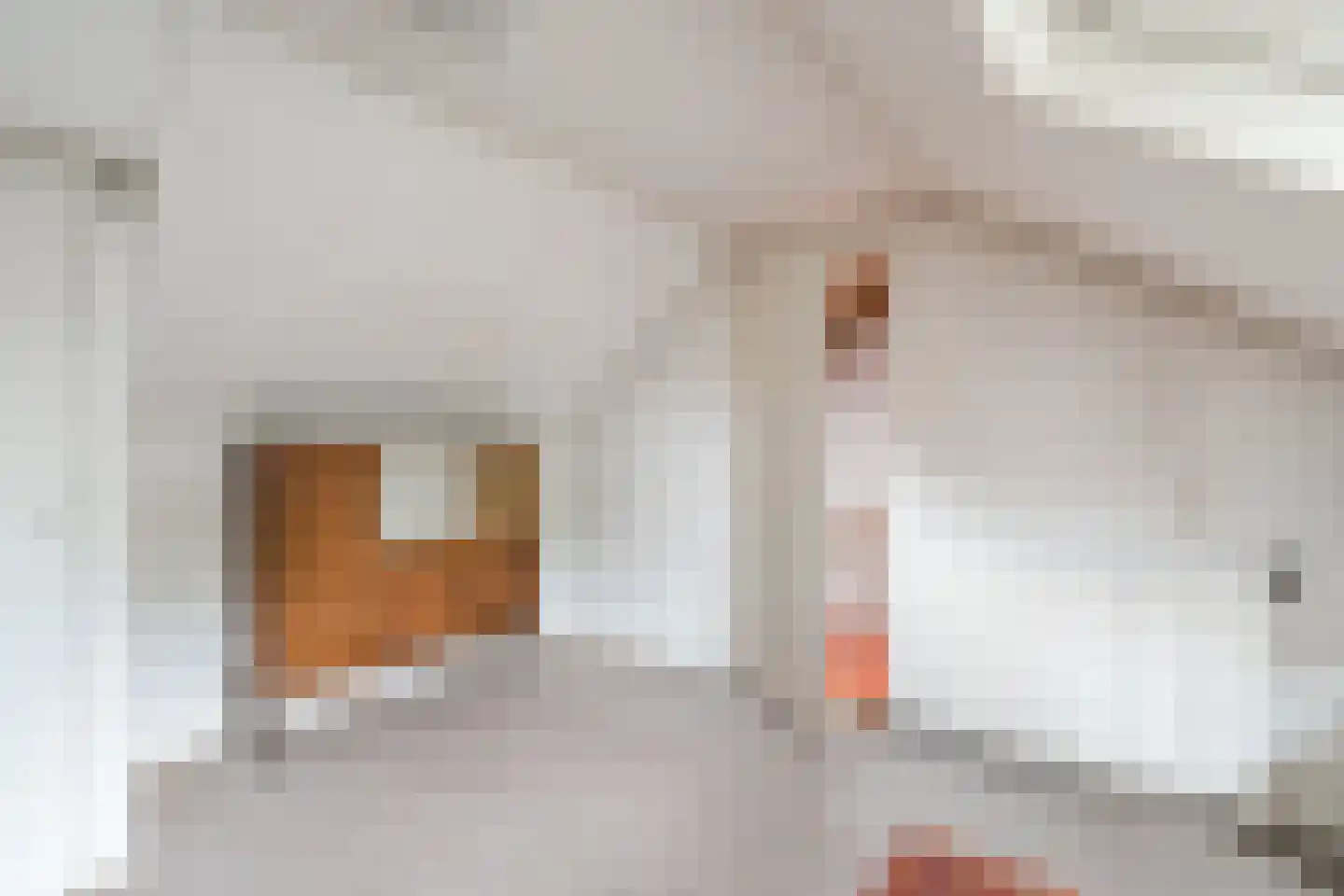 Staringstraat 10 Harderwijk thumbnail 35