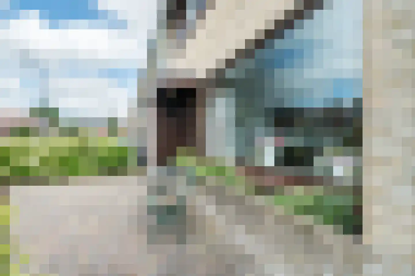 Staringstraat 10 Harderwijk thumbnail 45
