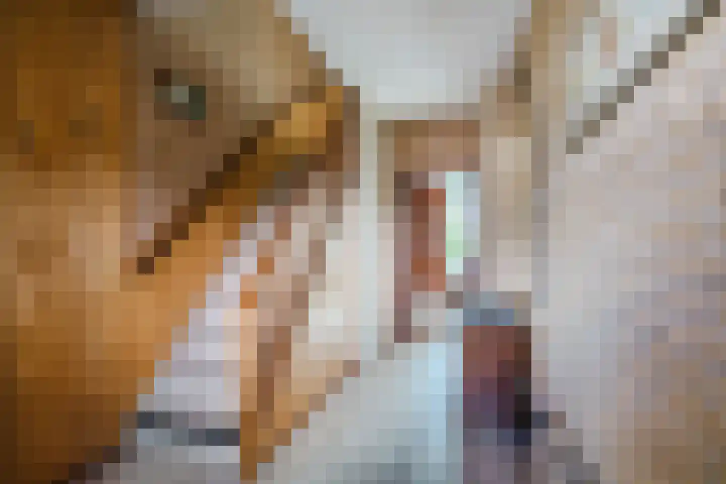 Staringstraat 10 Harderwijk thumbnail 5