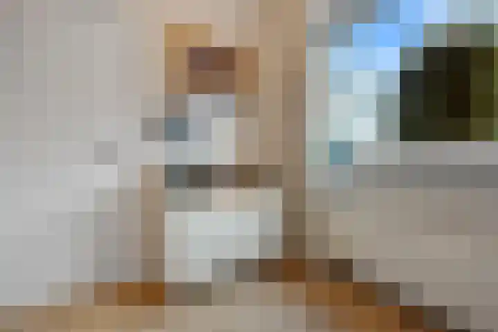 Staringstraat 10 Nijmegen thumbnail 20