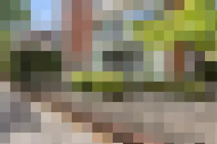 Staringstraat 10 Nijmegen thumbnail 31