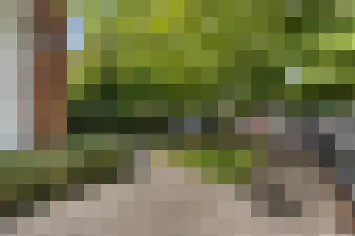 Staringstraat 10 Nijmegen thumbnail 36