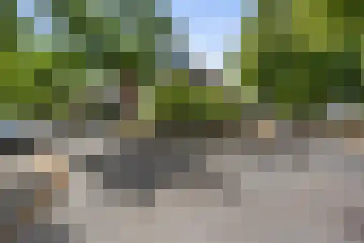 Staringstraat 10 Nijmegen thumbnail 37