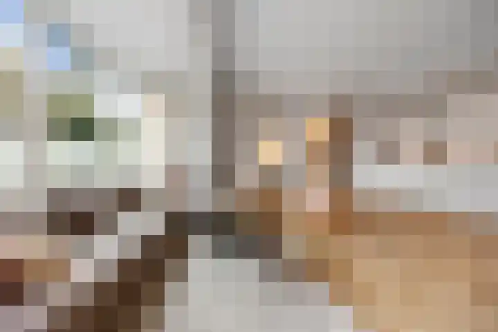 Staringstraat 10 Nijmegen thumbnail 4