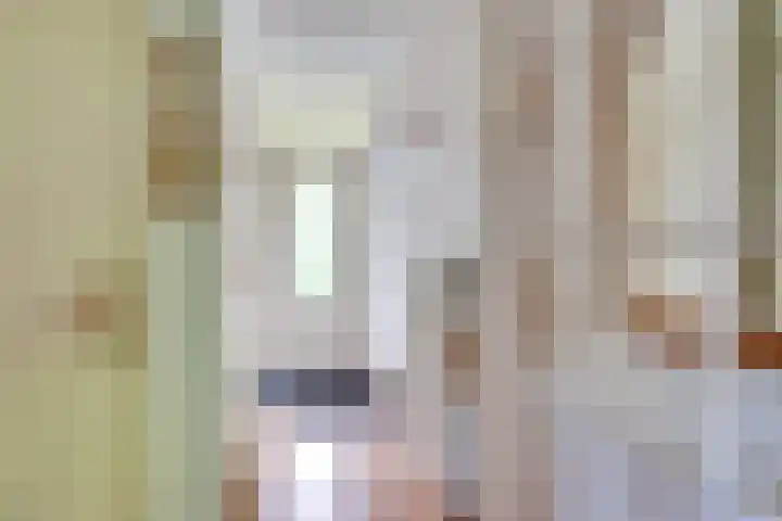 Staringstraat 11 Son en Breugel thumbnail 10