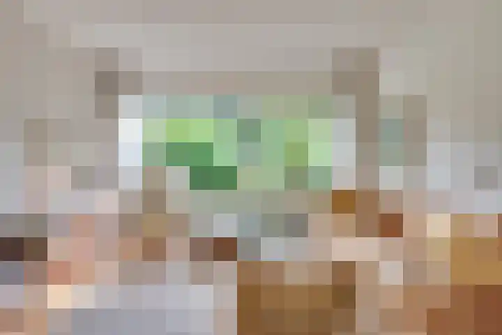 Staringstraat 11 Son en Breugel thumbnail 11