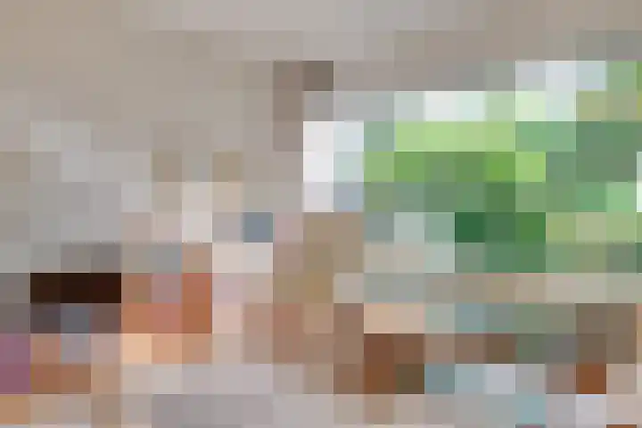 Staringstraat 11 Son en Breugel thumbnail 12