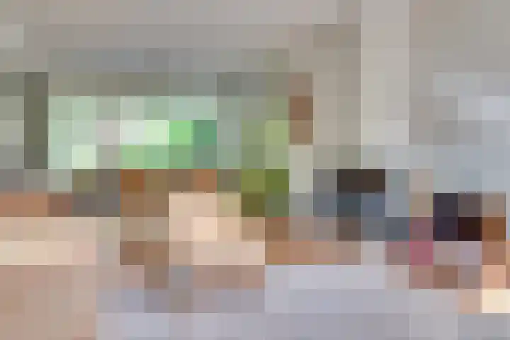Staringstraat 11 Son en Breugel thumbnail 13