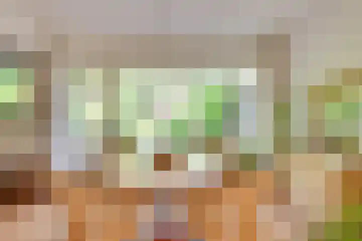 Staringstraat 11 Son en Breugel thumbnail 15