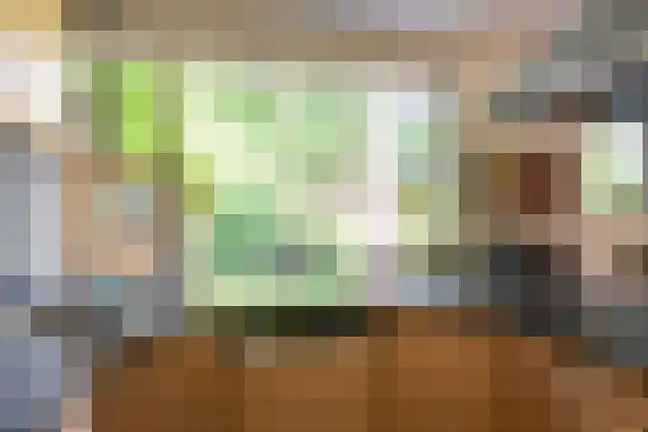 Staringstraat 11 Son en Breugel thumbnail 18