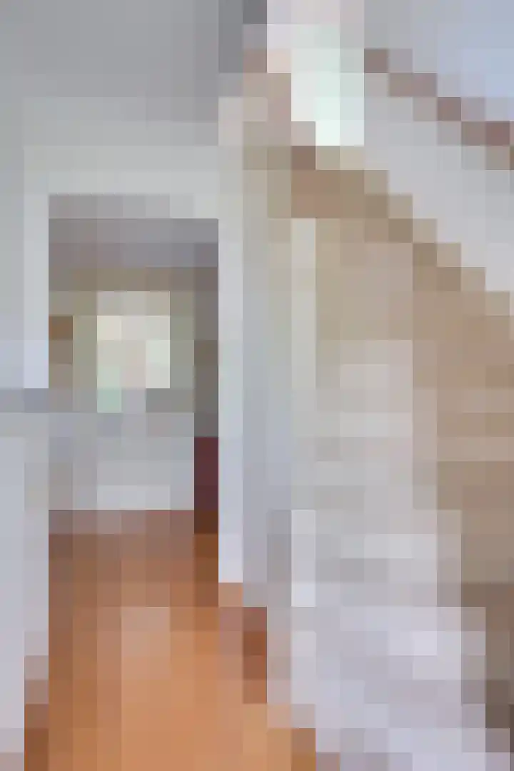 Staringstraat 11 Son en Breugel thumbnail 21
