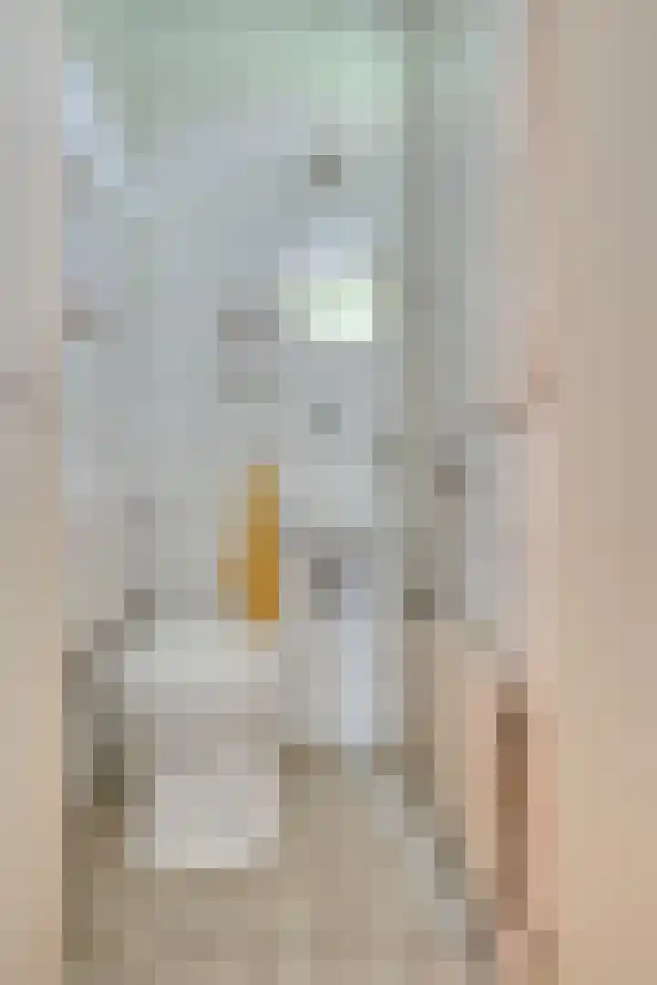 Staringstraat 11 Son en Breugel thumbnail 22