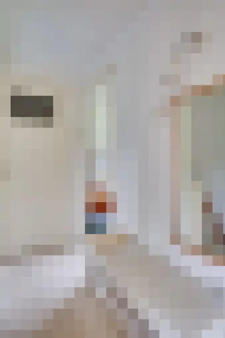Staringstraat 11 Son en Breugel thumbnail 25
