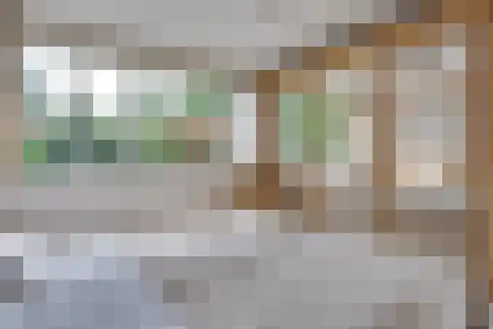 Staringstraat 11 Son en Breugel thumbnail 26