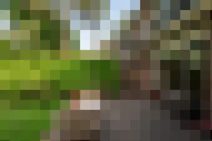 Staringstraat 11 Son en Breugel thumbnail 38