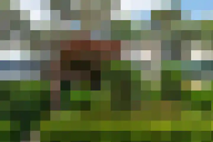 Staringstraat 11 Son en Breugel thumbnail 48