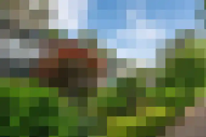 Staringstraat 11 Son en Breugel thumbnail 6