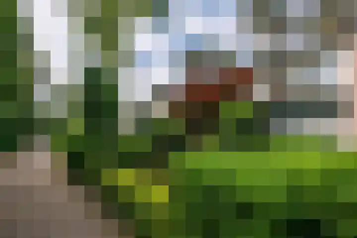 Staringstraat 11 Son en Breugel thumbnail 7