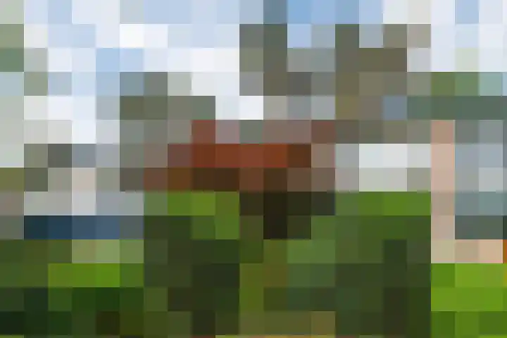 Staringstraat 11 Son en Breugel thumbnail 8