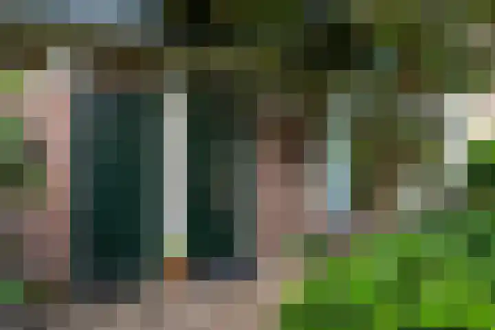 Staringstraat 11 Son en Breugel thumbnail 9