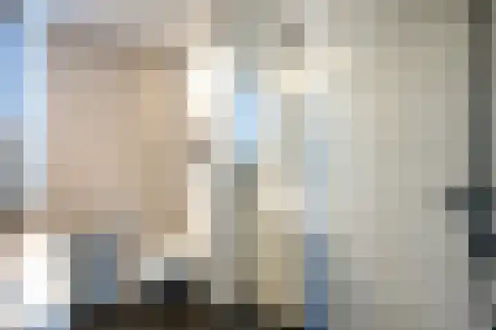 Staringstraat 113 Oss thumbnail 18