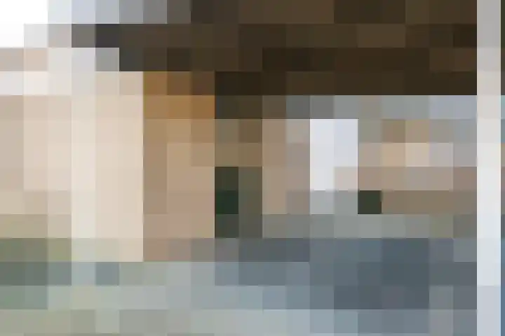 Staringstraat 113 Oss thumbnail 22