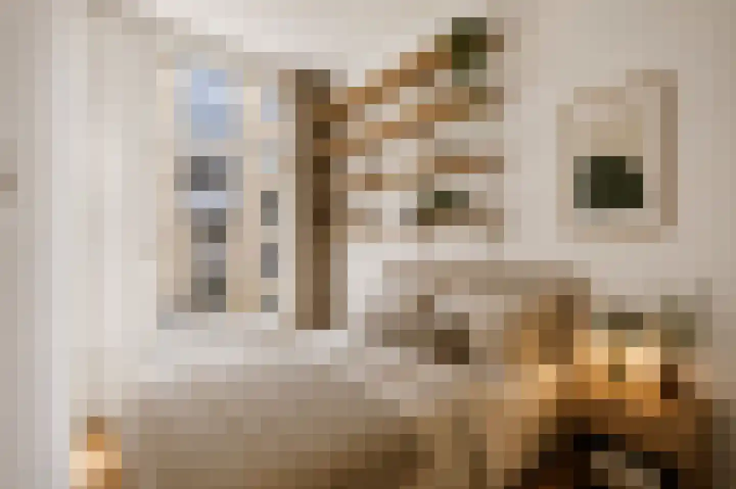 Staringstraat 12 1 Amsterdam thumbnail 14