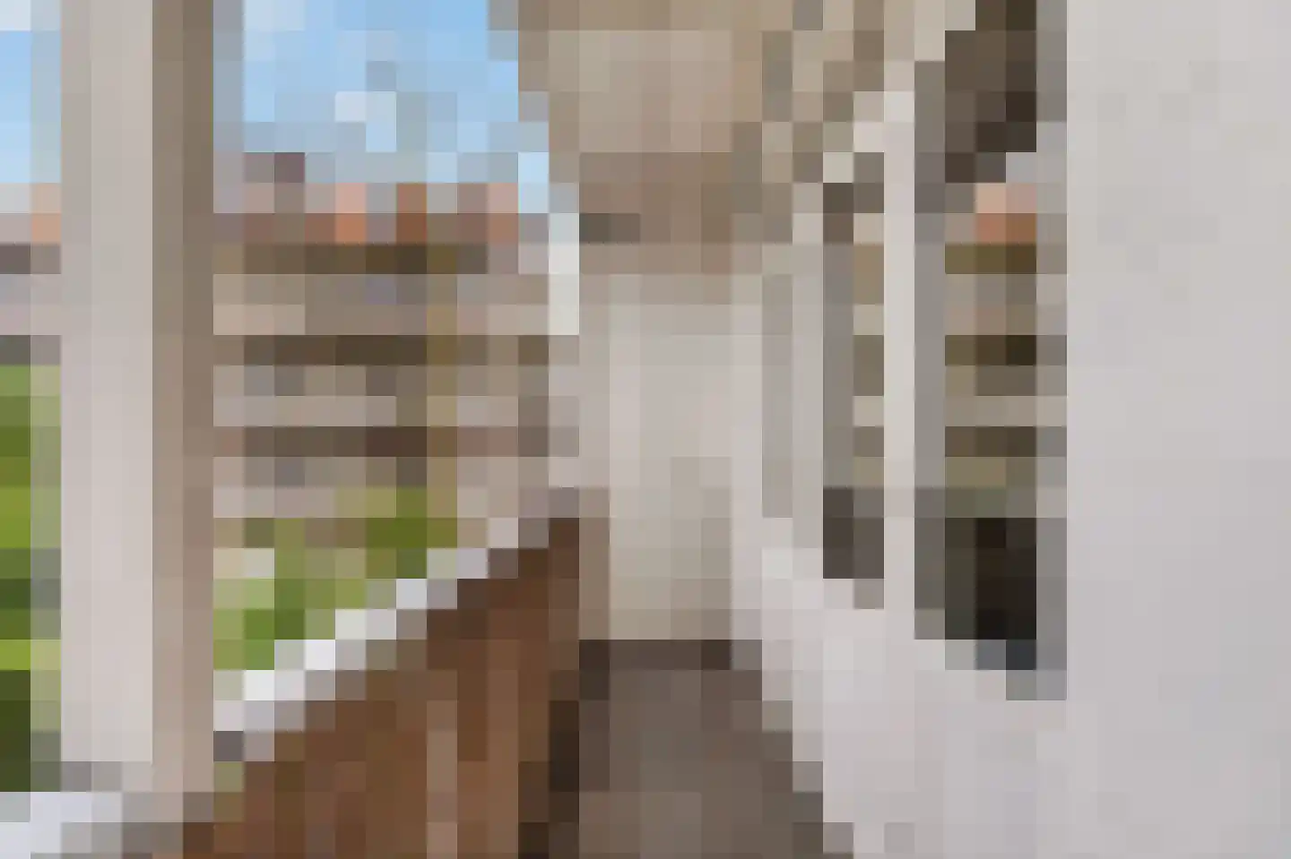 Staringstraat 12 1 Amsterdam thumbnail 6