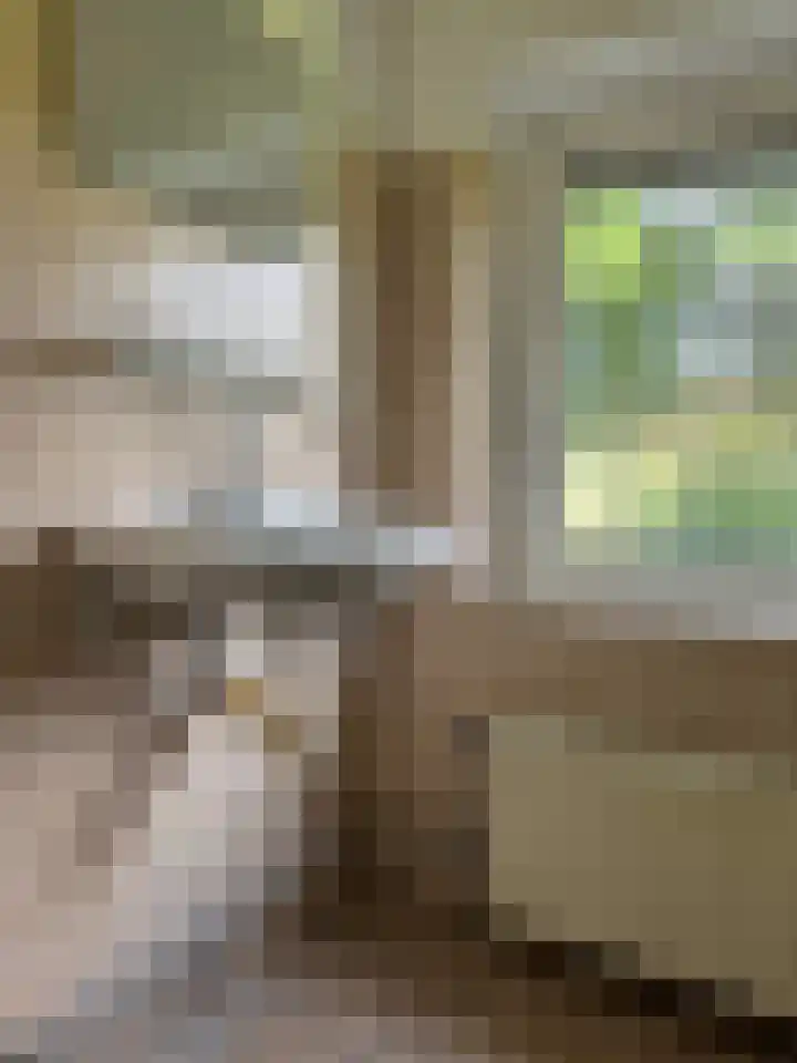 Staringstraat 13 Venlo thumbnail 18