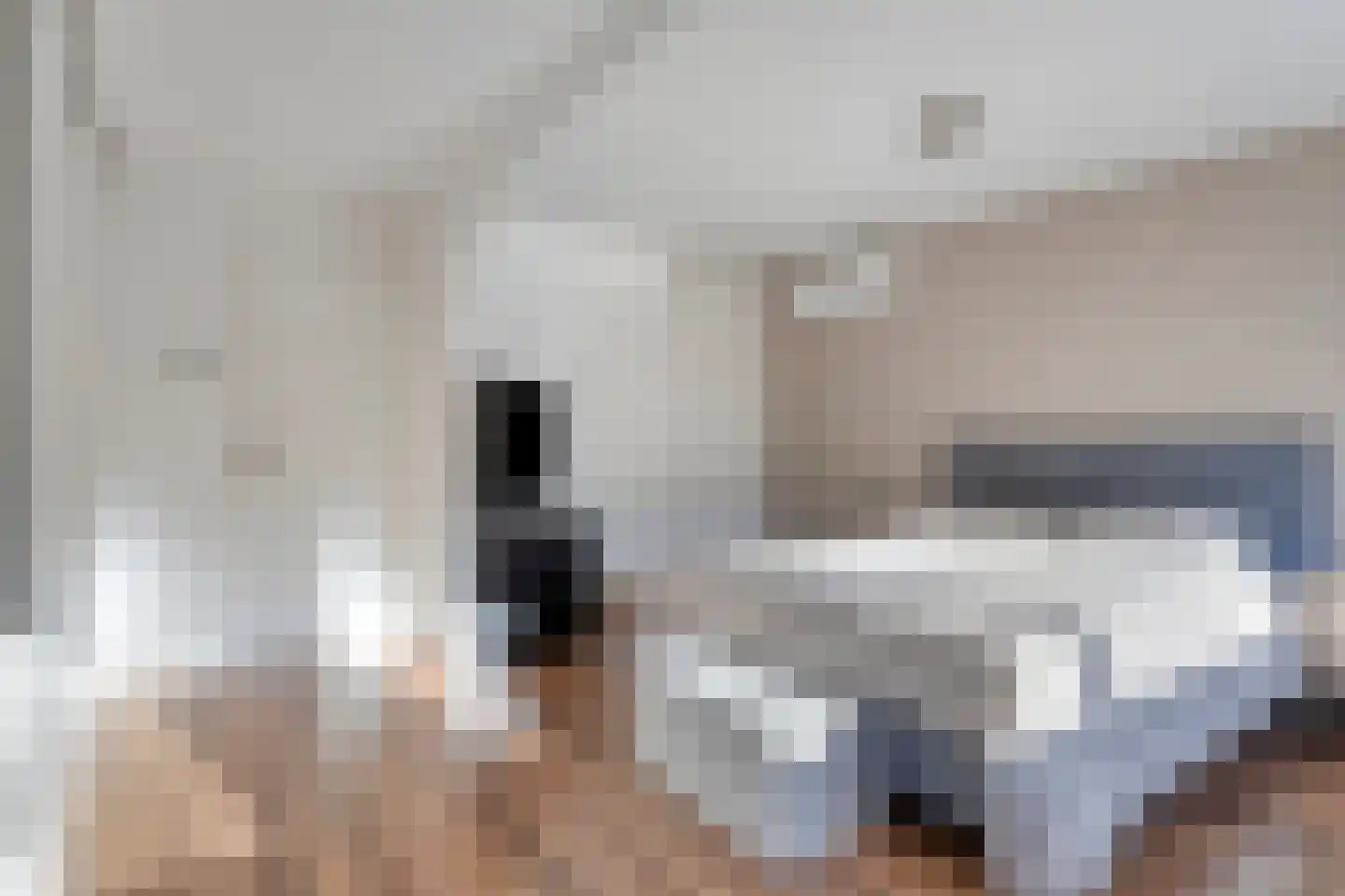 Staringstraat 132 Oss thumbnail 16