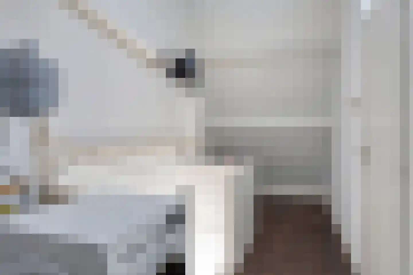 Staringstraat 132 Oss thumbnail 23