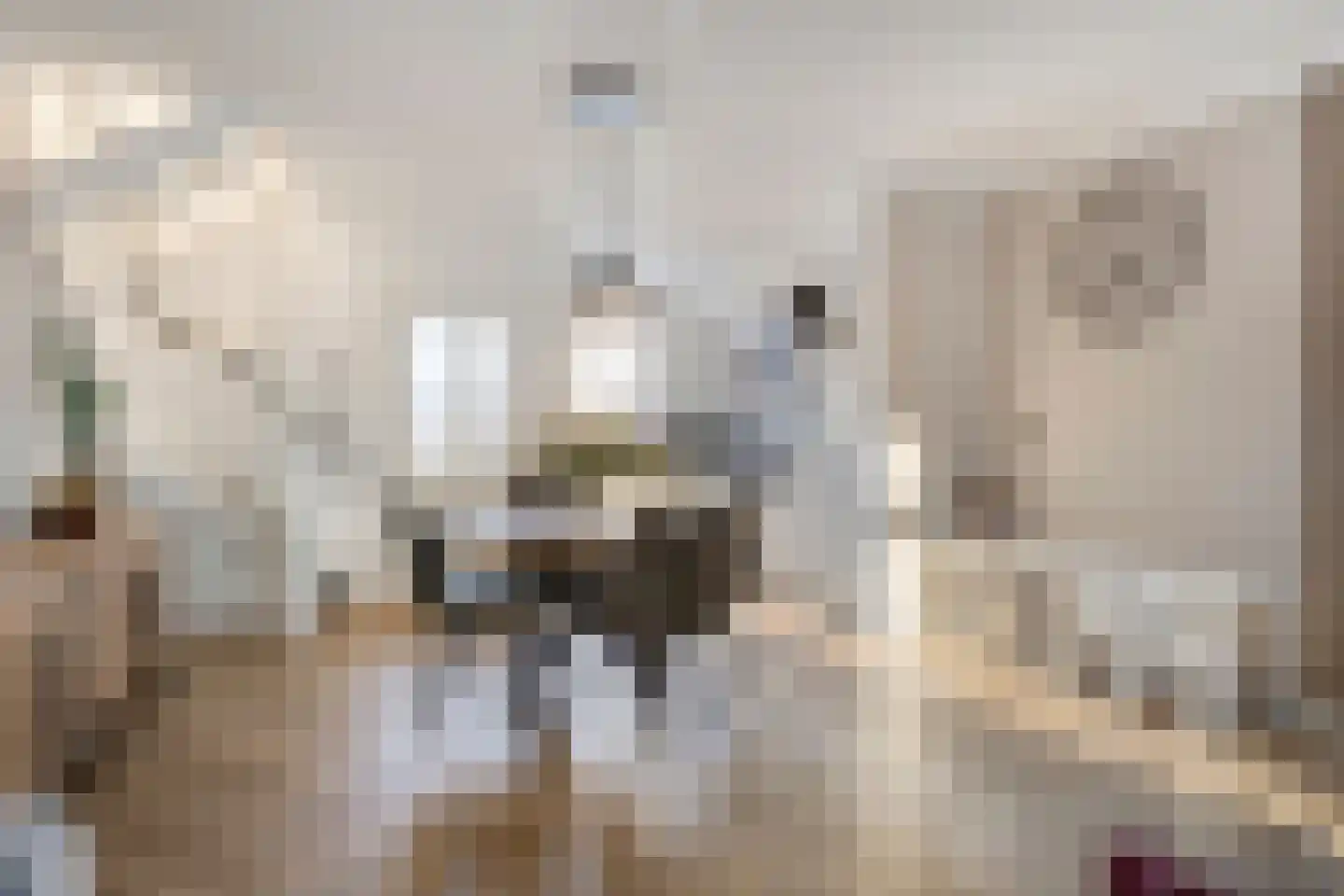 Staringstraat 132 Oss thumbnail 6