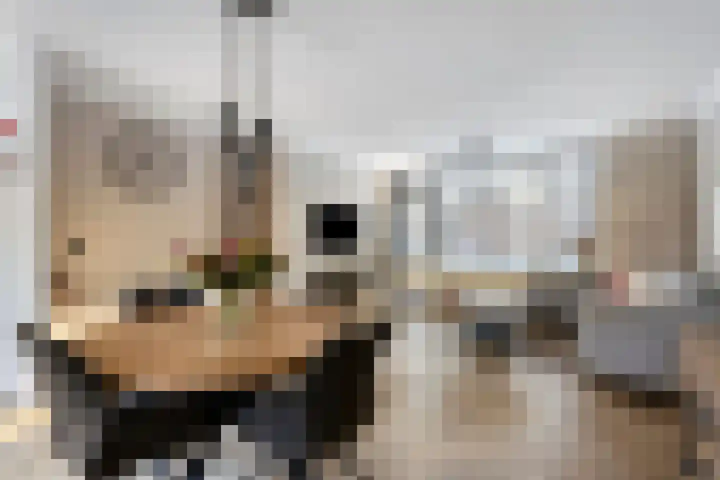 Staringstraat 132 Oss thumbnail 7
