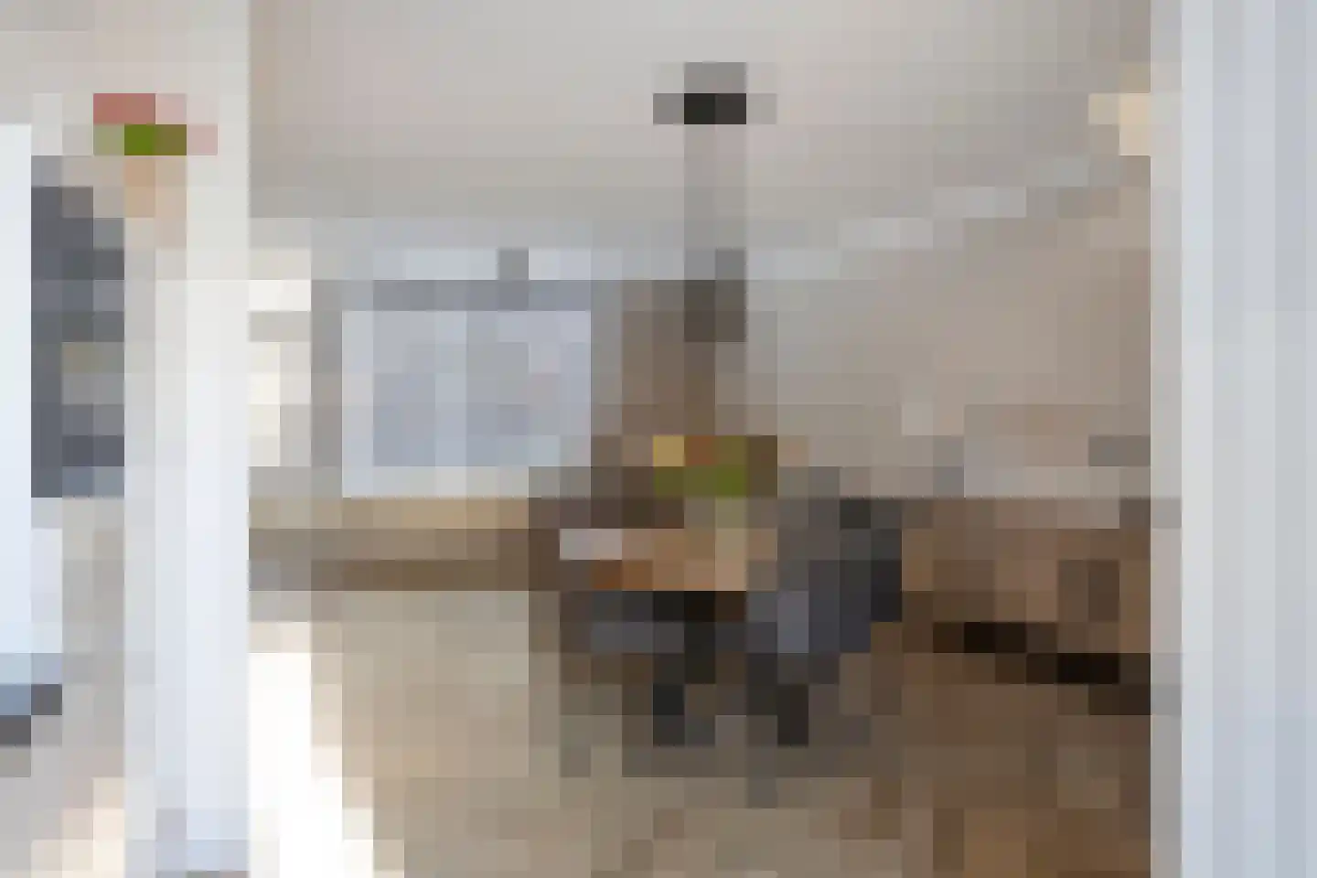 Staringstraat 132 Oss thumbnail 8