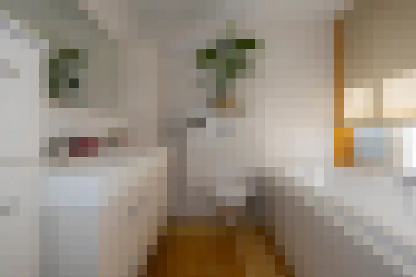 Staringstraat 14 Groningen thumbnail 30