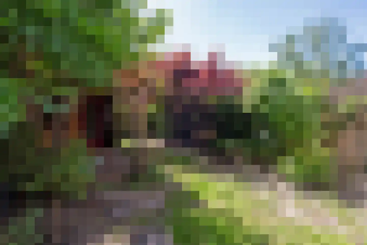 Staringstraat 14 Groningen thumbnail 46
