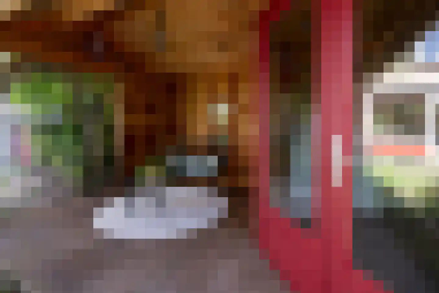 Staringstraat 14 Groningen thumbnail 47