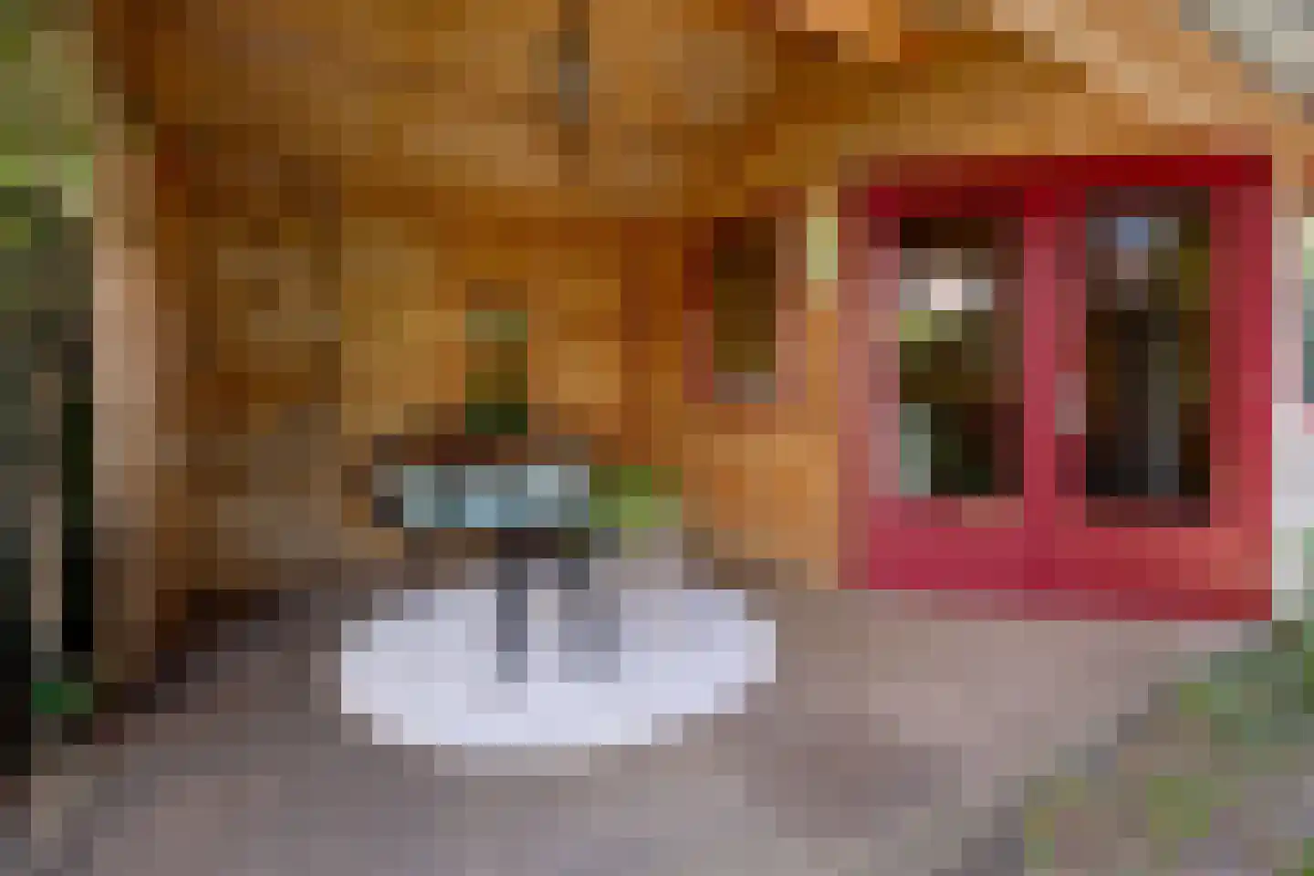 Staringstraat 14 Groningen thumbnail 49