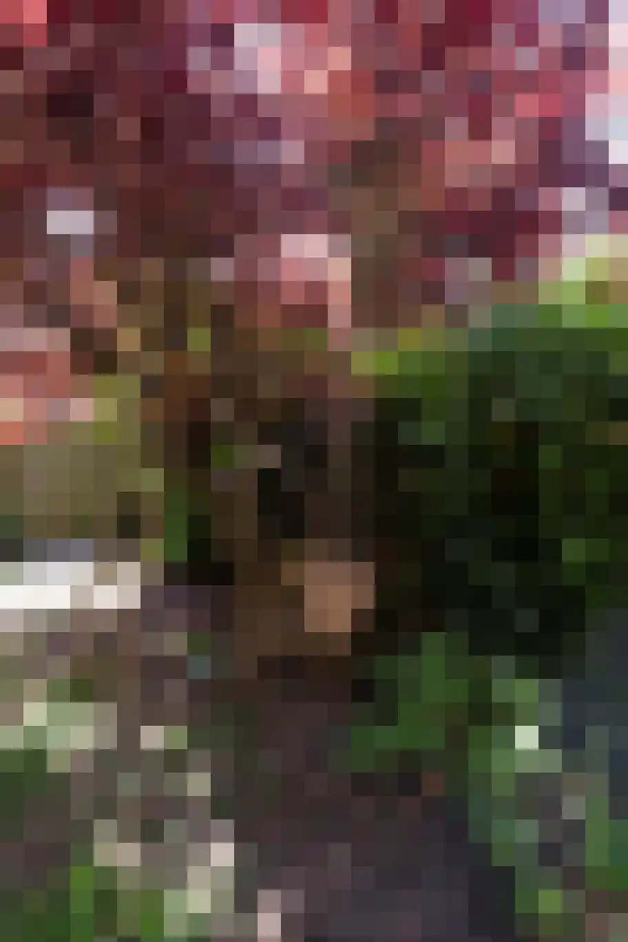 Staringstraat 14 Groningen thumbnail 50